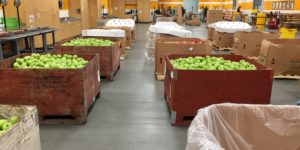 apples-in-big-bins